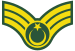 TR-Army-OR6a.svg