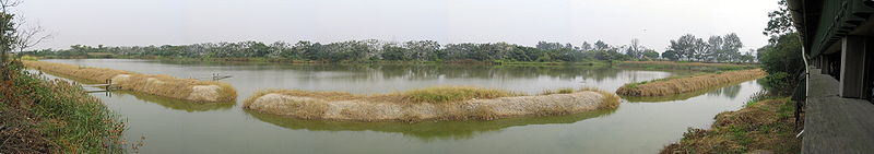 Panorama of the Mai Po reserve
