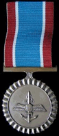 Pingat Penghargaan (Tentera) - Air Force - medal.png